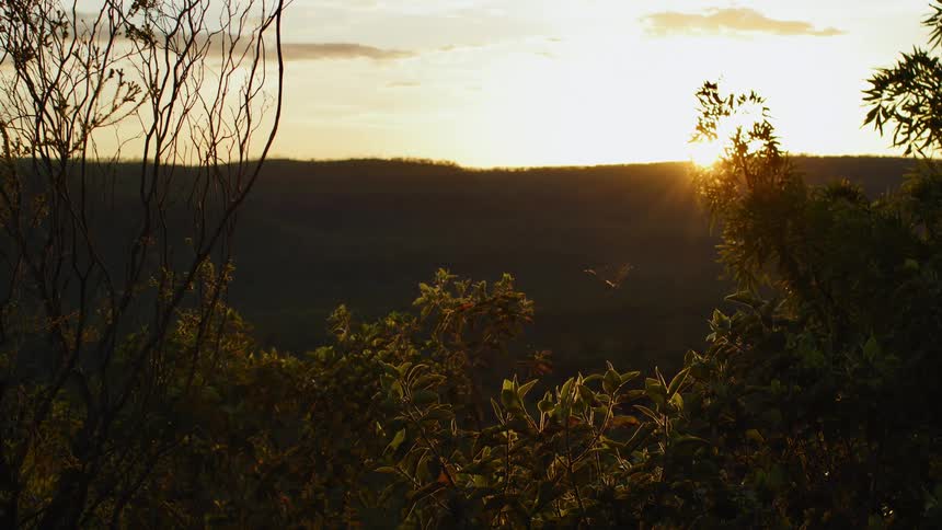 The sun is rising above the mountain