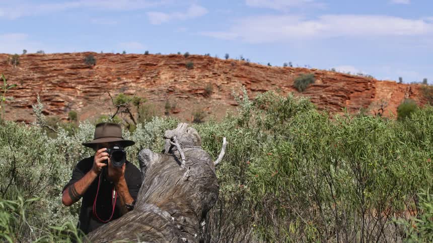 A photographer walking through a savanna stops and raises his camera to take a photograph of a fallen tree