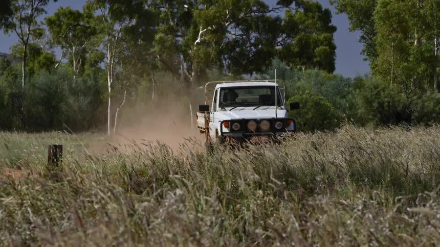 A man with his dog next to him drives his truck across a grassland