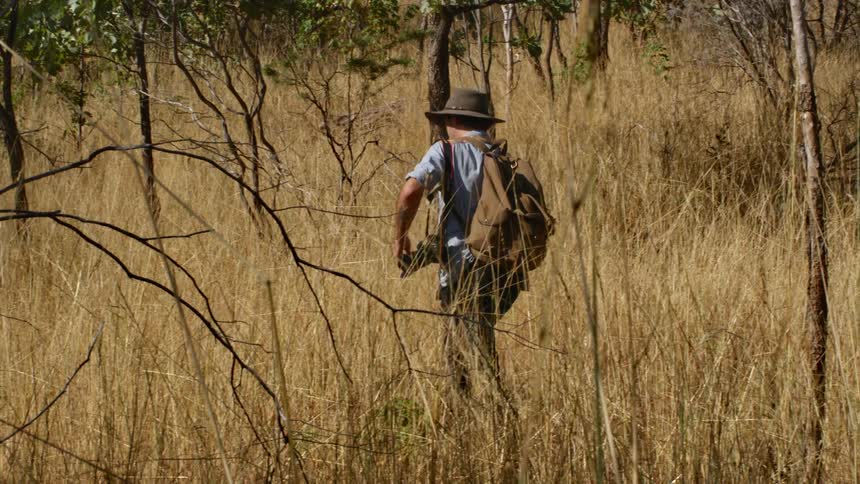 A man is hiking through the tall grass