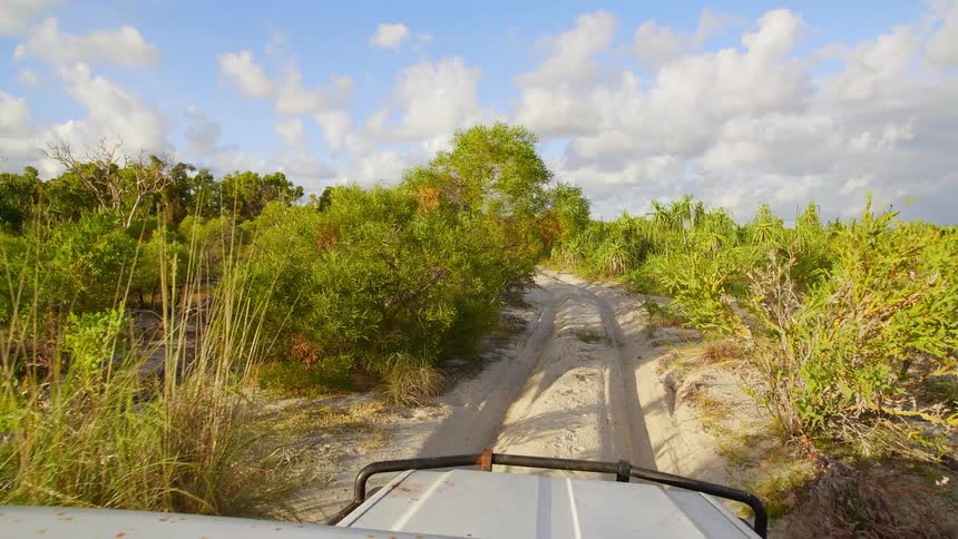 A truck travels down a dirt road through a shrubland on a sunny day