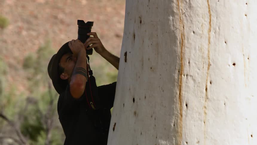 Photographer points camera up and leans against the white bark of a tree