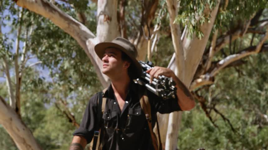 Photographer carrying a tripod on his shoulder walks past the trees