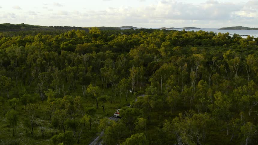 A truck is driving through a wooded area