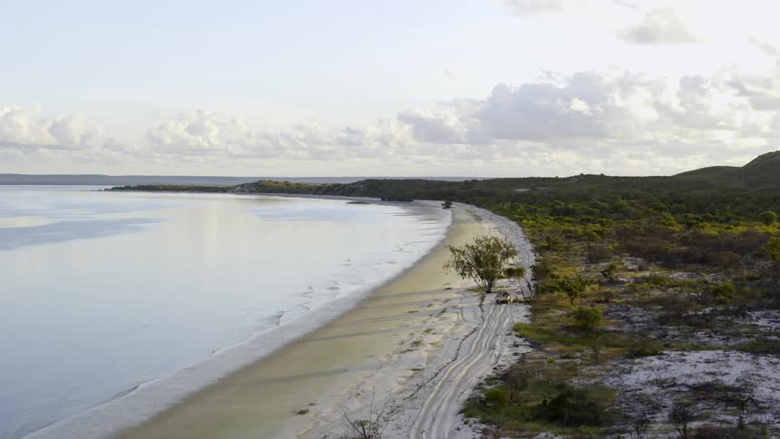 An aerial view of a vehicle driving on a sandy beach