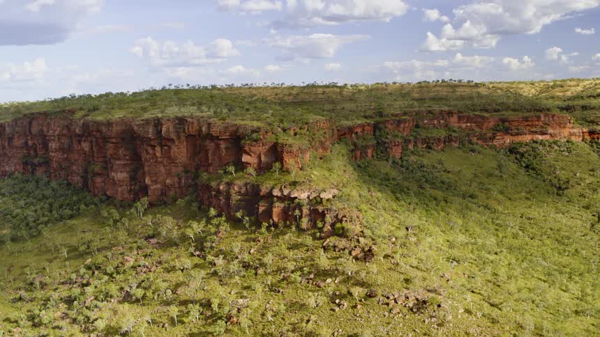 Cliffs on the side of a mesa surrounded by a green forest