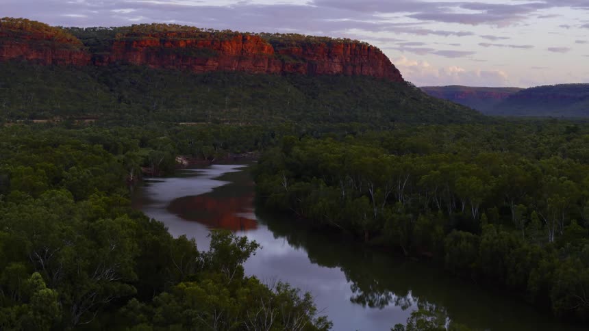 An aerial view of a forest is displayed by a river