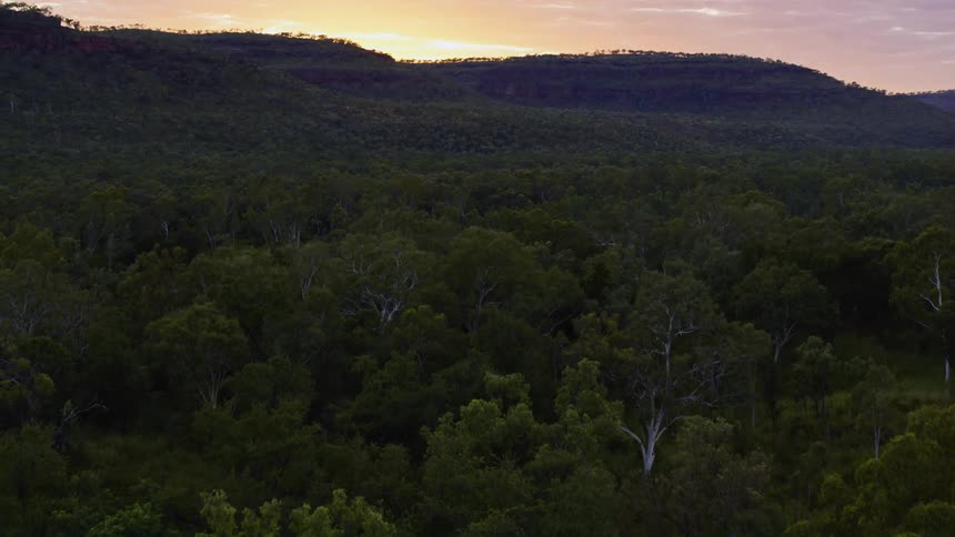 Aerial view of a river flowing in a forest
