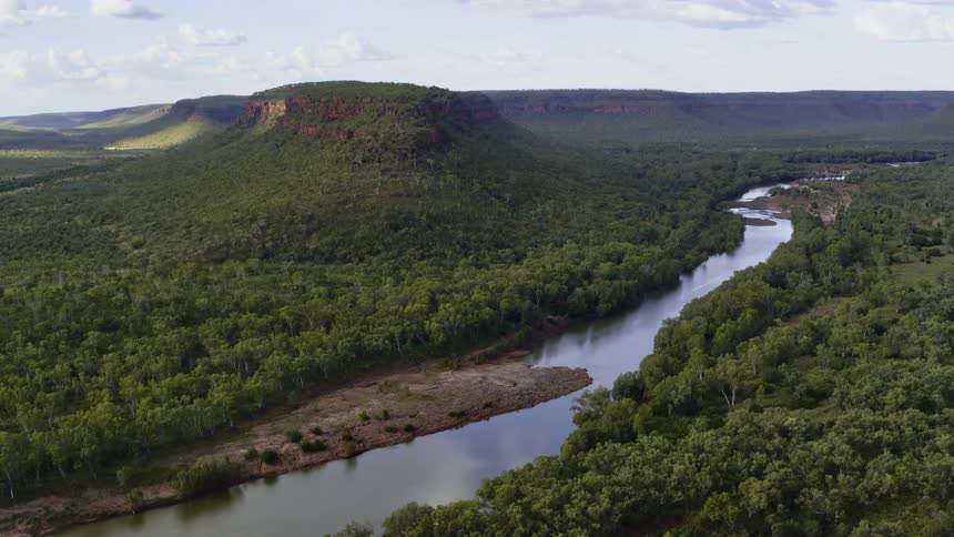 An aerial view of a river flowing through a forest in nature