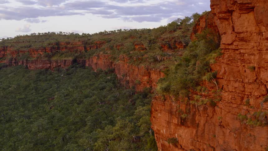 An escarpment looming over a dense forest
