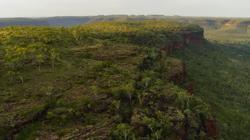 Aerial view of a landscape with trees grass and cliffs