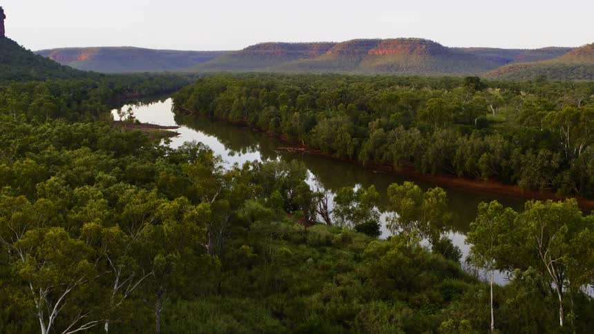 Aerial view of a river running through a forest