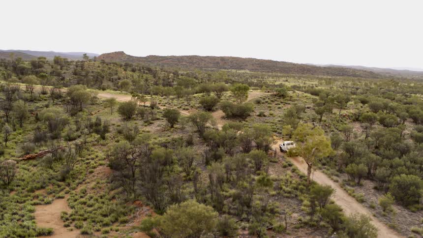 Pickup truck travels on a dirt road near the trees