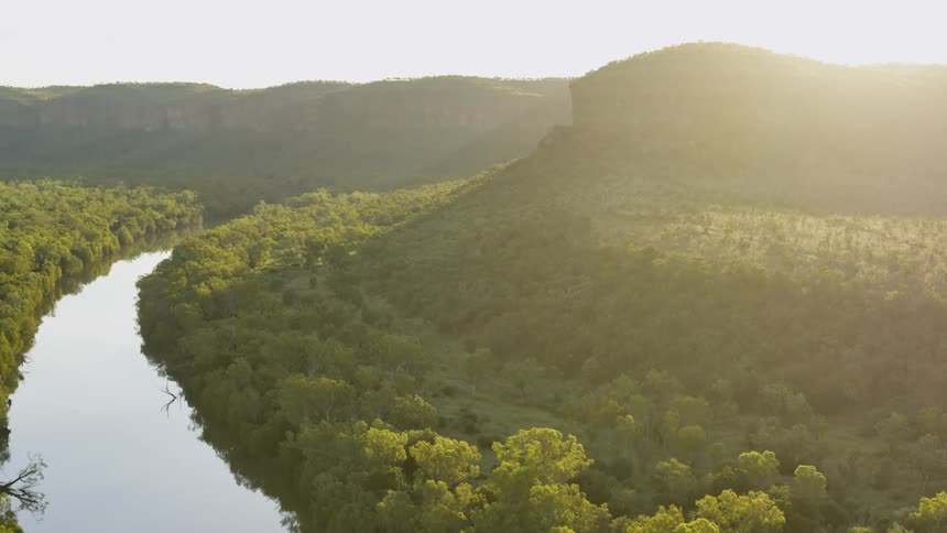 Aerial view of a river and forest