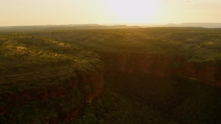 A dense forest in the valley of a canyon