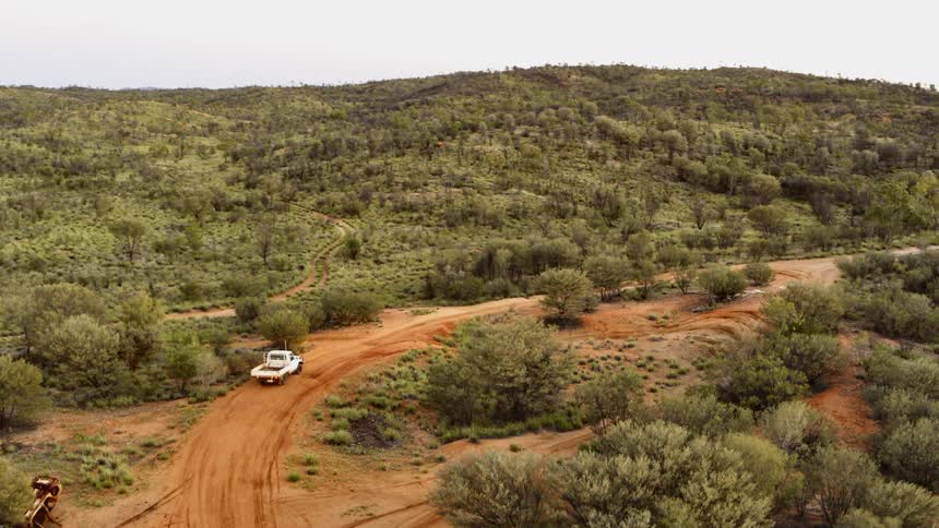 A truck travels along a dirt road through a verdant grassland
