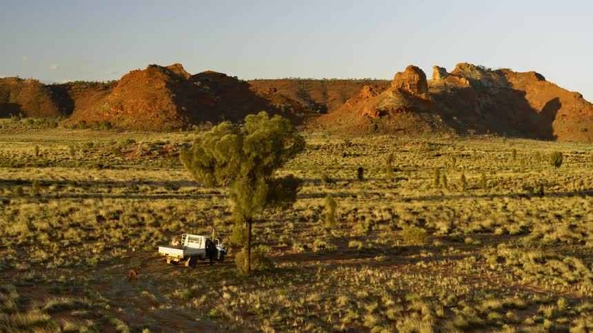 A man and his dog walk around a truck parked near a tree in a vast grassland covered in shrubs