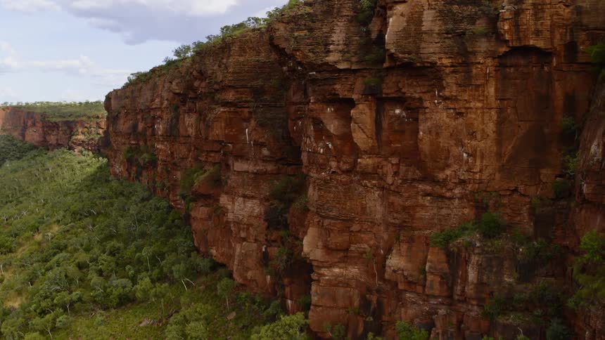 Forest sits next to the large cliffs under a cloudy sky