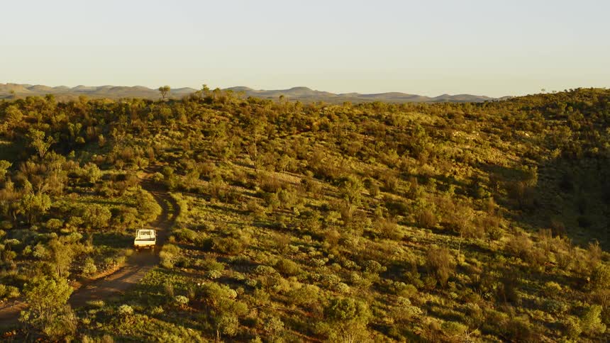 A dirt road with a vehicle driving on it surrounded by trees and plants with the sky in the background