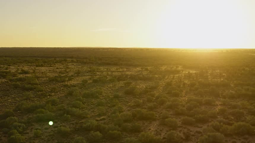 Aerial view of the sun setting over the shrubs in the plain