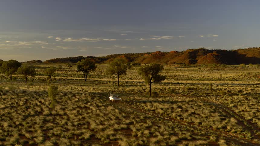 A white truck with a dog riding in the back travels offroad through a shrubland before it stops and the driver begins to exit the vehicle