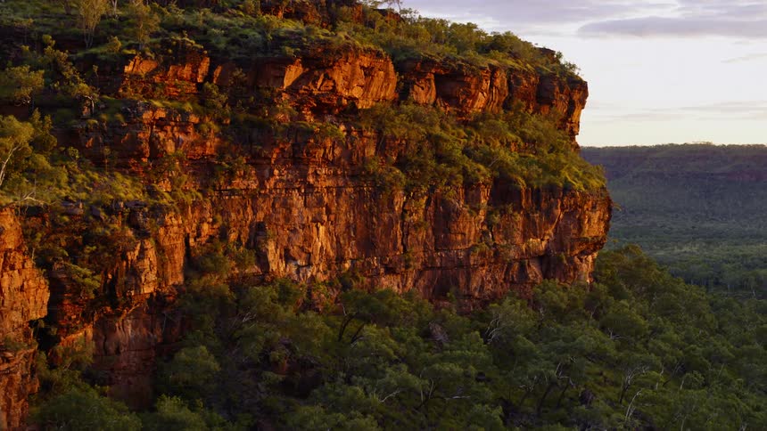 Densely grown bushes fill the top of a cliff and the bottom of a canyon