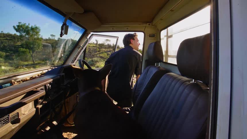 Man gets out of front seat of vehicle parked near hill asking dog to follow him