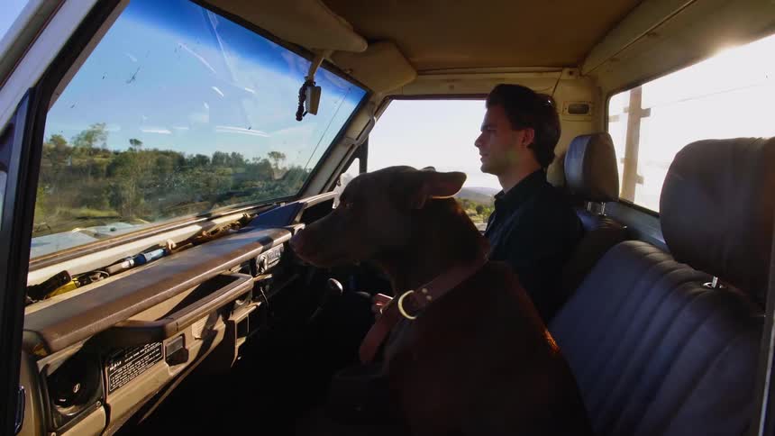 A man in a vehicle with a dog with trees and the sky in the background