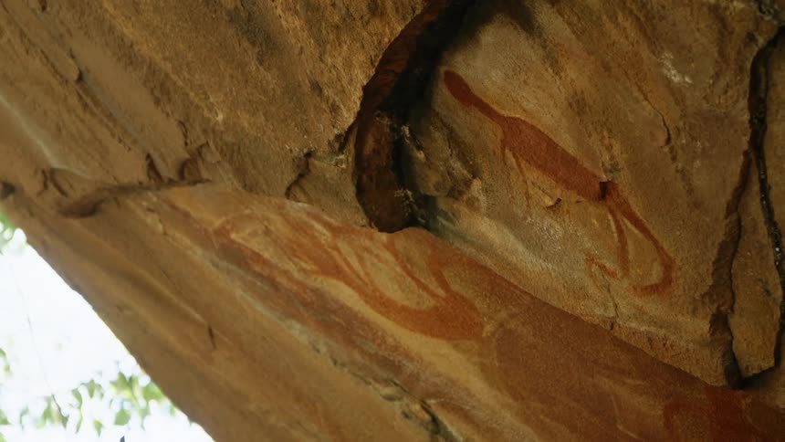 A cliff wall with cave art with trees and the sky in the background