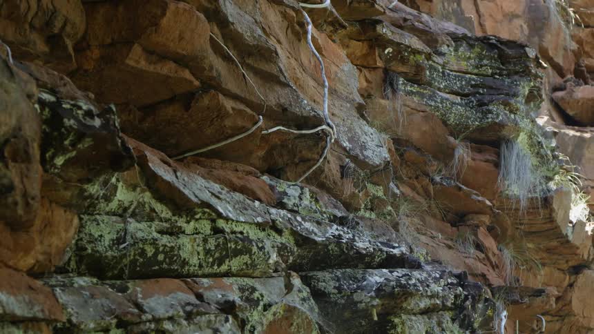 A closeup of a cliff is displayed
