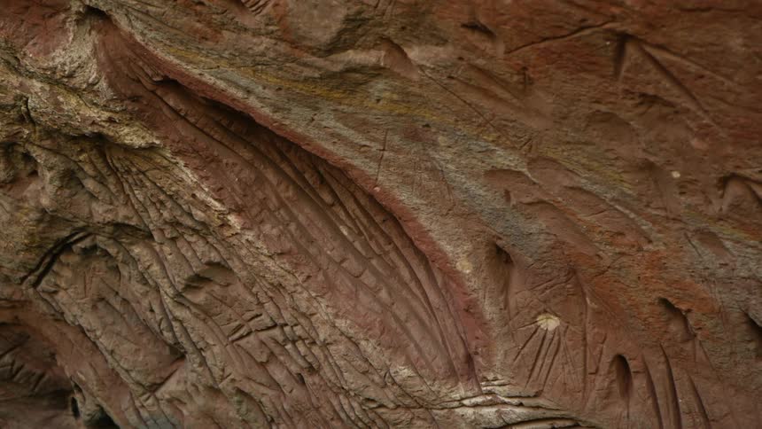 The side of the cavern is covered in carvings