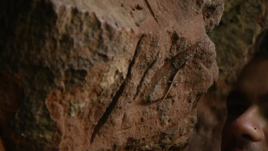 A man looks at a gecko on a rock