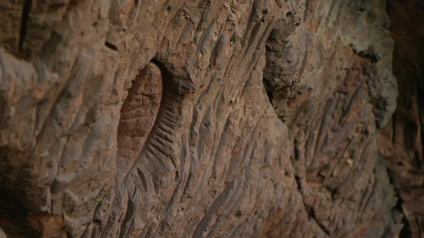 Petroglyphs carved on a rock wall