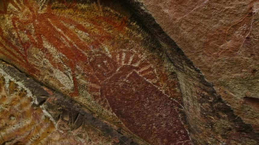 Fossils and a cave painting on a rock surface