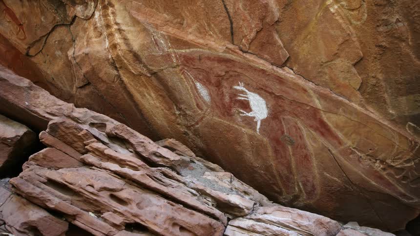 A painting of an animal on a rock wall