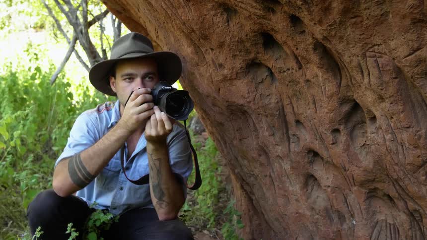 A photographer takes photos in a forest