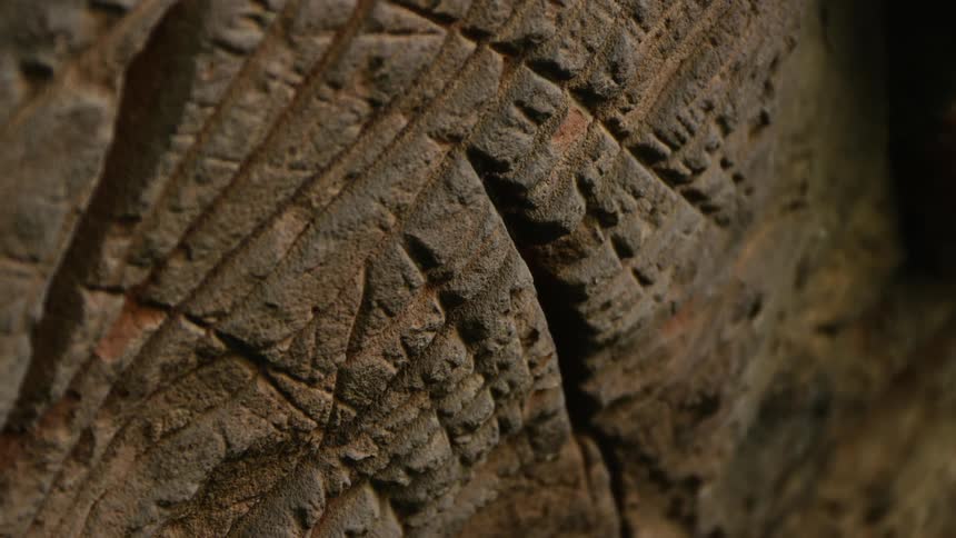 Close up of the surface of a carved rock