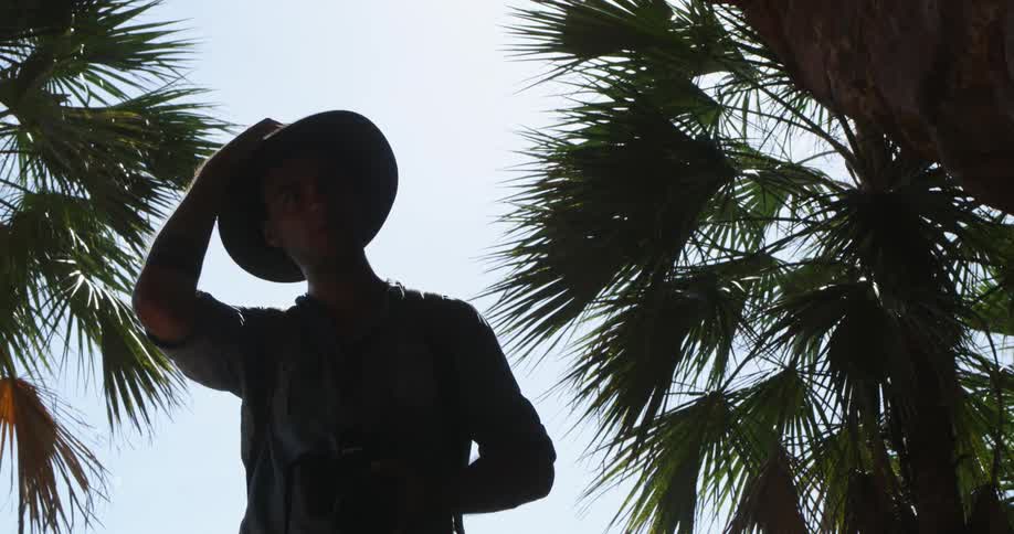 Photographer wipes sweat and adjusts hat while standing under palm trees before taking a picture