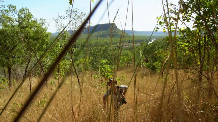 Photographer wearing a hat walks on the grassland near the woods in the wilderness