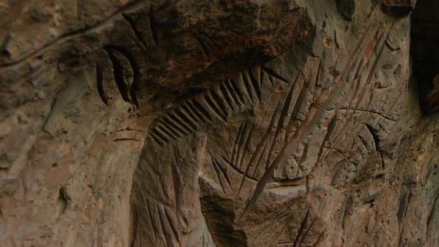 Fossils on a large stone