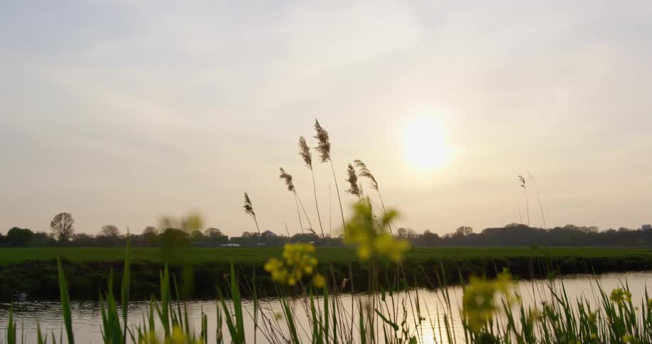 A pond with a grassy field trees the sky and clouds in the background