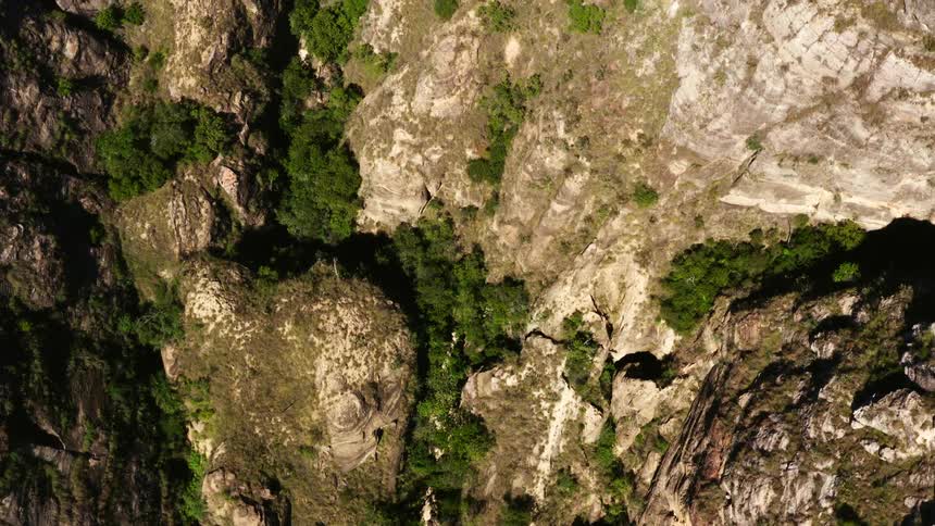 The canyon is full of trees and grass
