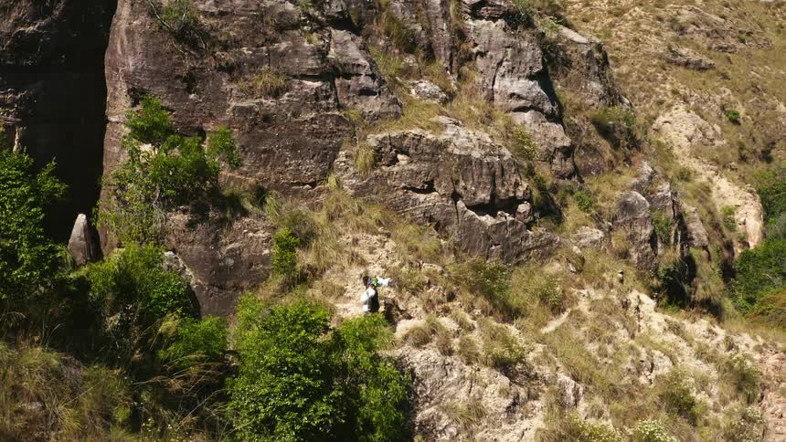 People hiking up a hill with rock plants and trees