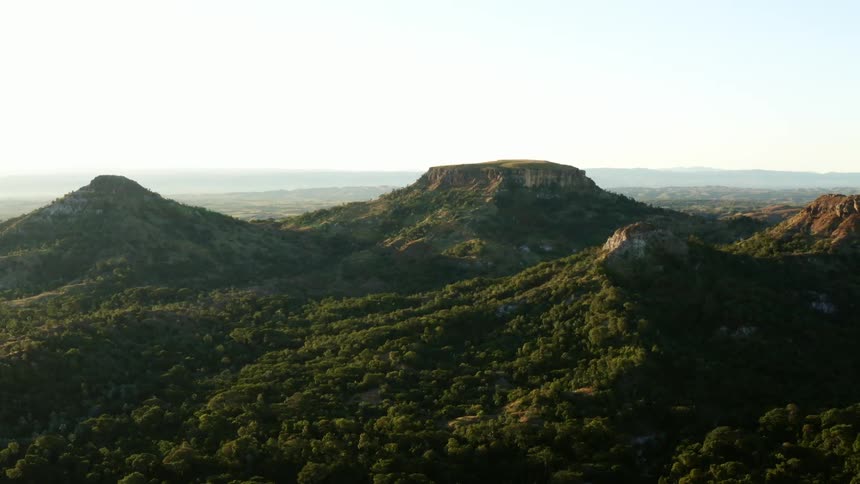 Aerial view of hills and a forest