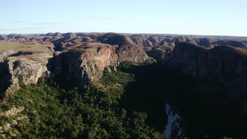 The forest leads up to the mountain range