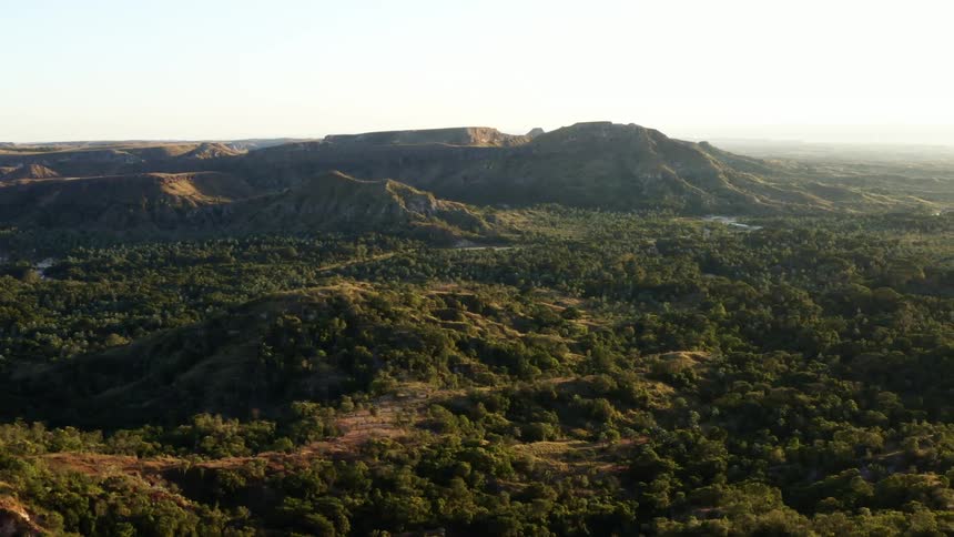 A vast forest beneath low mountain ridges on a sunny day