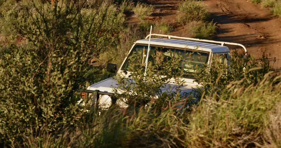 A man is driving a car in a rural area