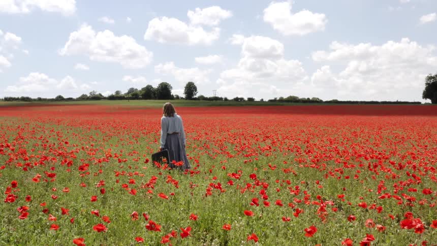 A woman with a suitcase walking in a meadow with flowers with trees and the sky in the background