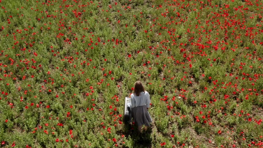 A woman carrying a suitcase walks across a field of flowers