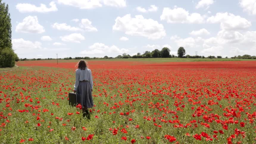 A woman walking across a field of flowers carrying a suitcase